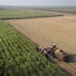 خوزستان، قلب اقتصاد محلی ایران