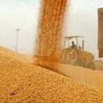 خوزستان، الگوی اقتصاد مقاومتی بومی