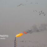 آلودگی هوا در ۱۴ شهر خوزستان/ ماهشهر در وضعیت «بنفش»