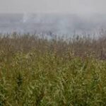 لزوم استقرار هواپیمای آب‌پاش در خوزستان تا شهریور/ حریق بخش ایرانی هورالعظیم در روزهای اخیر