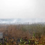 انتشار دود هورالعظیم در سراسر اهواز/ ادامه آتشسوزیهای تالاب تا اواخر مهر