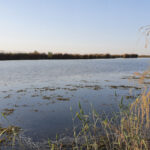 تالاب بامدژ؛ آینهای از زندگی در دل دشتهای خوزستان