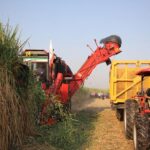 مطالعات توسعه زنجیره ارزش باگاس نیشکر در خوزستان کلید خورد