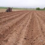 کشاورزان به‌زودی هفده‌ هزار و ۸۵۰ هکتار از زمین‌های خرمشهر را با بذر کلزا، گندم و جو سبز می‌کنند