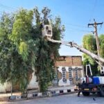 هرس بیش از ۱۲ هزار اصله درخت متداخل با شبکه برق در اهواز