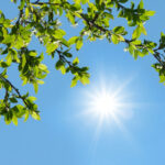 هوای ۹ شهر خوزستان «پاک» شد