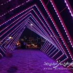 دستور شهردار برای زیباسازی شهری در آستانه نوروز؛ از ساخت المان‌های بهاری تا جان‌بخشی به درختان خشکیده