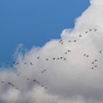 تنفس هوای «پاک» در ۶ شهر خوزستان