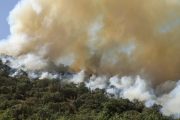 درخواست استاندار خوزستان برای اعزام بالگرد آب‌پاش به خاییز بهبهان