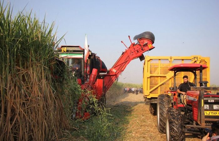 مطالعات توسعه زنجیره ارزش باگاس نیشکر در خوزستان کلید خورد