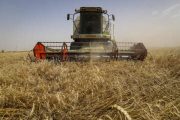 تسهیل دسترسی کشاورزان خوزستانی به اعتبارات بانکی در طرح گندم