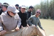 استاندار خوزستان: تالاب هورالعظیم باید به روزهای اوج تولید و پرورش ماهی بازگردد