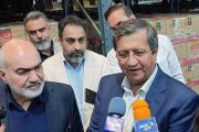 همتی: اجازه ایجاد مشاغل‌ کاذب ارزی در حاشیه بازار را نخواهیم داد