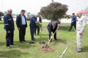 مدیرعامل نفت و گاز مارون به پویش كاشت درختان مثمر پیوست