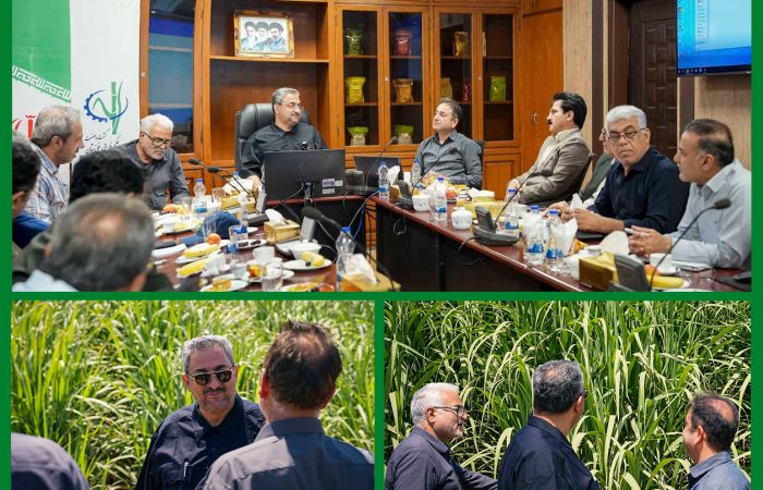 توانمندسازی کسب‌وکارهای روستایی همجوار نیشکر/توسعه پایدار نیشکر با مشارکت جوامع محلی محقق می‌شود