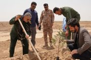 بیابان‌های خوزستان به سرمایه تبدیل می‌شوند/ آغاز نهال‌کاری گسترده در غیزانیه اهواز