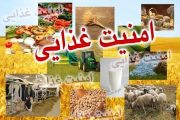 فعالیت ۱۱ قرارگاه امنیت غذایی تحت اشراف مستقیم شورای تأمین خوزستان