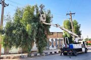 هرس بیش از ۱۲ هزار اصله درخت متداخل با شبکه برق در اهواز