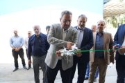 «آبان بسپار توسعه» ظرفیت بسته‌بندی صنعتی خود را ارتقا داد/آغاز تولید کیسه‌های صنعتی جدید برای نخستین‌بار در خوزستان
