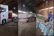 نخستین محموله خوراک دام نیشکری ایران به عراق صادر شد