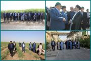 نیشکر نقش مهمی در اقتصاد و صیانت از محیطزیست دارد