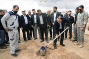 آغاز عرضه 200 هزار نهال توسط نفت و گاز مارون