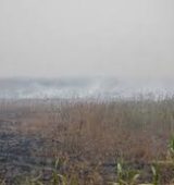 مدیریت هورالعظیم به بنبست رسیده است/ لزوم توجه به سلامت مردم خوزستان در آلودگی هوا