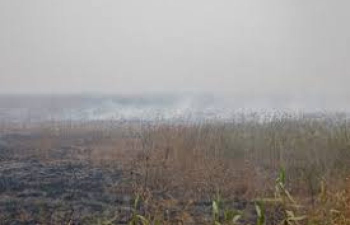 مدیریت هورالعظیم به بنبست رسیده است/ لزوم توجه به سلامت مردم خوزستان در آلودگی هوا