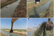 کانال خروجی فاضلاب شرق اهواز لایروبی شد