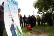 غرس چندین اصله نهال به یاد شهدا در سازمان آب و برق خوزستان